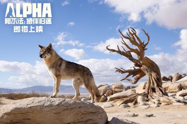 一万年前人类穿衣服吗,两万年前的人类