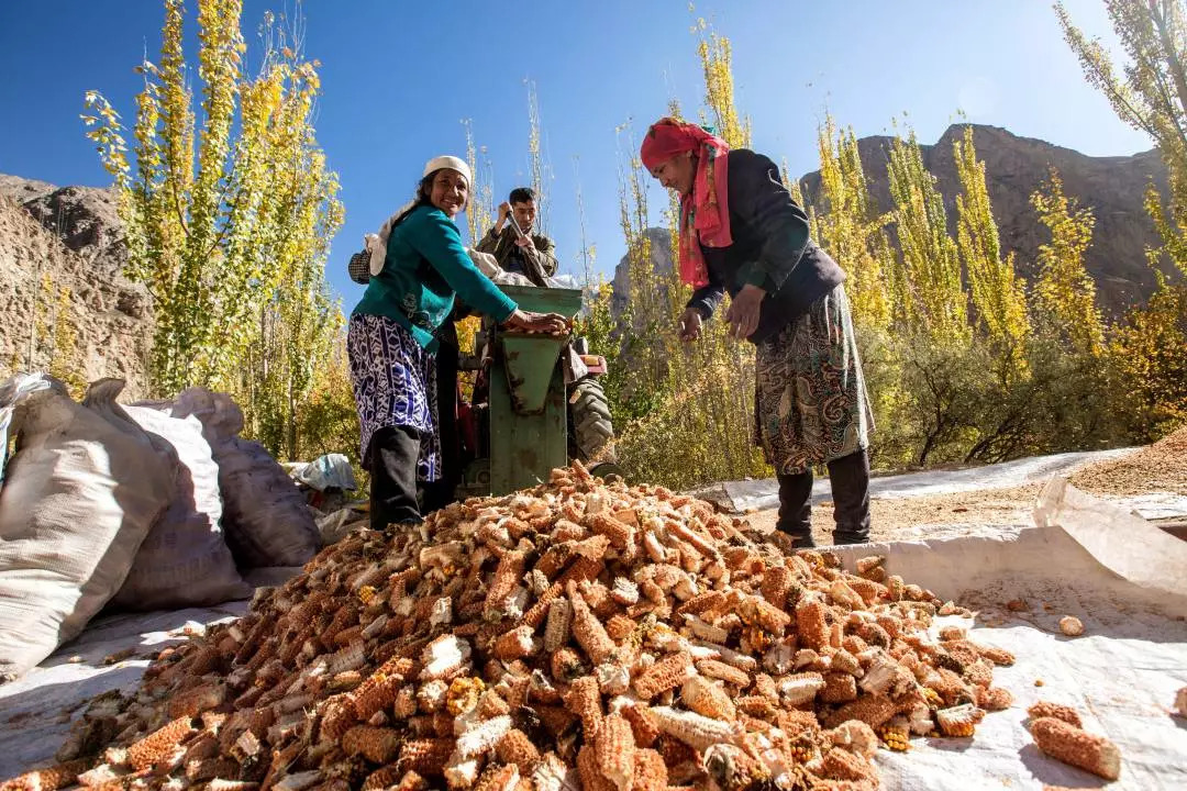 *疆新**人文地理丨*疆新**瓜果亚克西