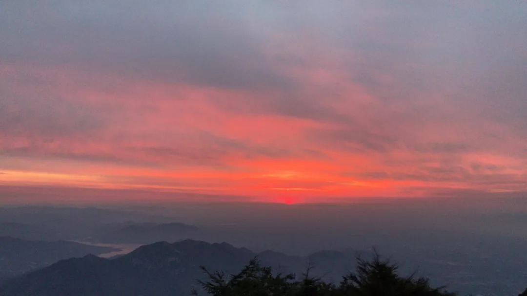 每一束光芒，都值得鼓掌｜泰山管理学院MDP1803上海班毕业新篇章！