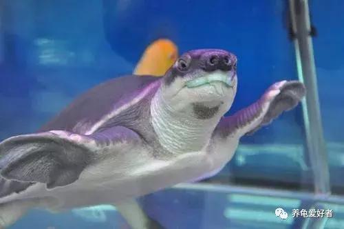 别让你的爱成为伤害,别让你的爱被当作借口