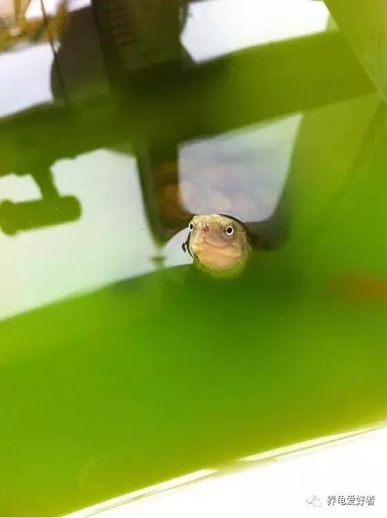 别让你的爱成为伤害,别让你的爱被当作借口