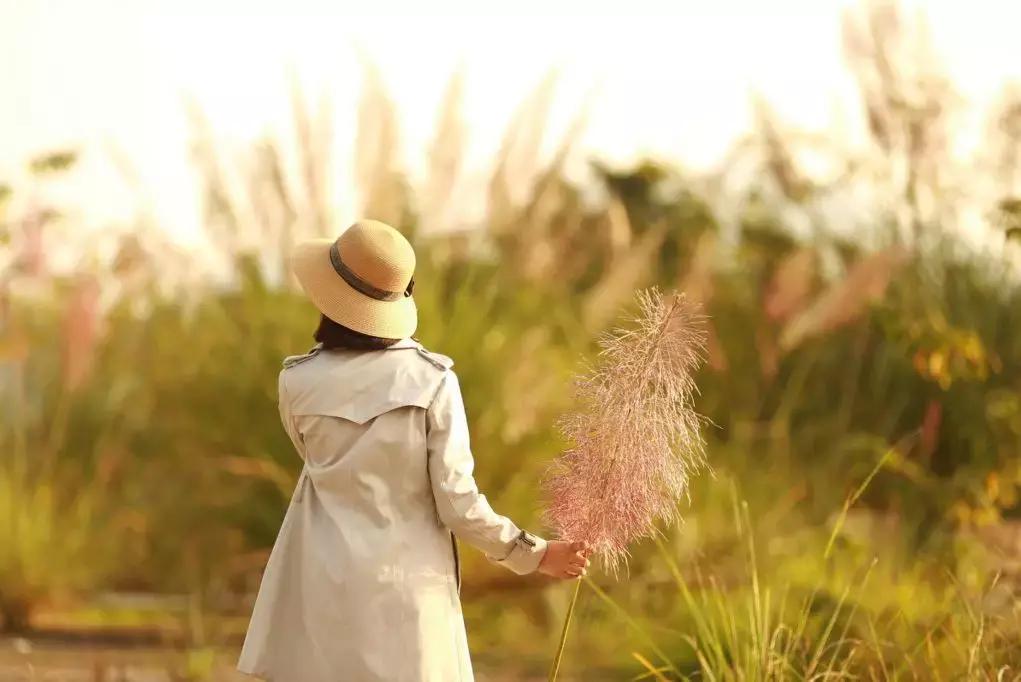 国内最撩人的20个金秋童话,国内最美的十大海滨城市