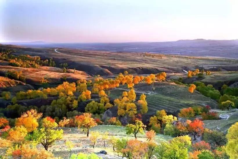 国内最撩人的20个金秋童话,国内最美的十大海滨城市