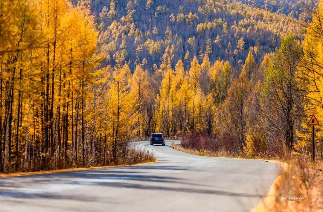 国内最撩人的20个金秋童话,国内最美的十大海滨城市