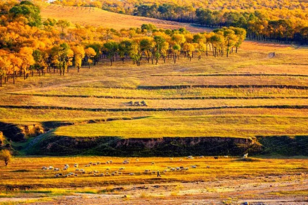 国内最撩人的20个金秋童话,国内最美的十大海滨城市