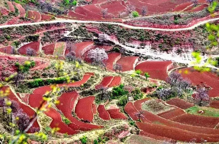 国内最撩人的20个金秋童话,国内最美的十大海滨城市