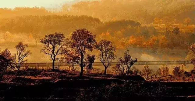 国内最撩人的20个金秋童话,国内最美的十大海滨城市