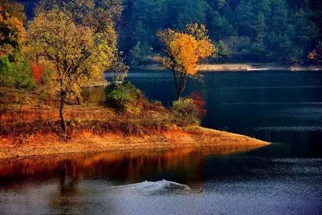 国内最撩人的20个金秋童话,国内最美的十大海滨城市