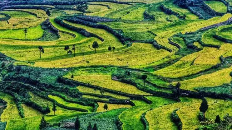 国内最撩人的20个金秋童话,国内最美的十大海滨城市