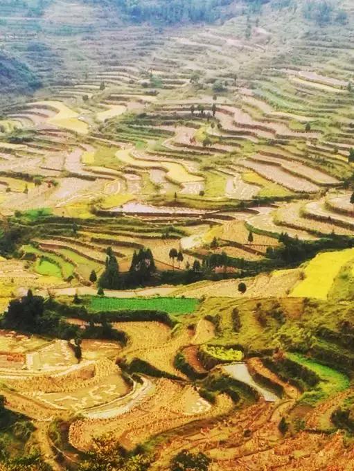 国内最撩人的20个金秋童话,国内最美的十大海滨城市