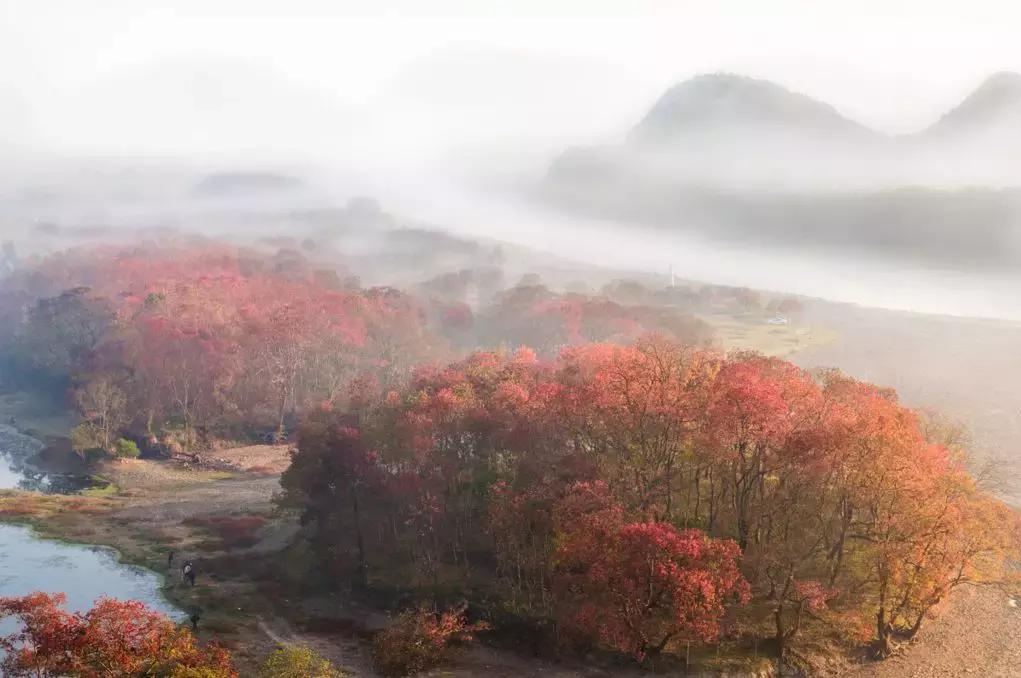 国内最撩人的20个金秋童话,国内最美的十大海滨城市