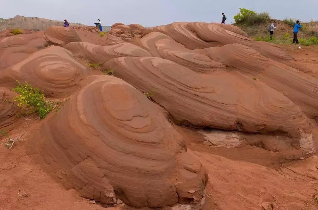 国内最撩人的20个金秋童话,国内最美的十大海滨城市