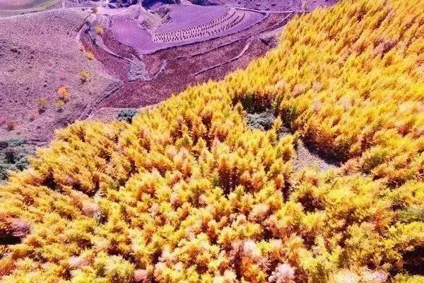 国内最撩人的20个金秋童话,国内最美的十大海滨城市