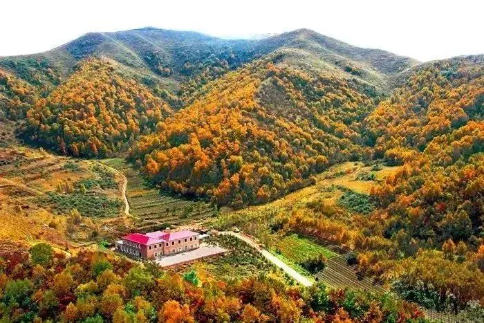 国内最撩人的20个金秋童话,国内最美的十大海滨城市