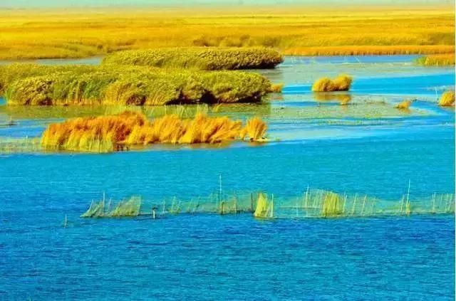 国内最撩人的20个金秋童话,国内最美的十大海滨城市