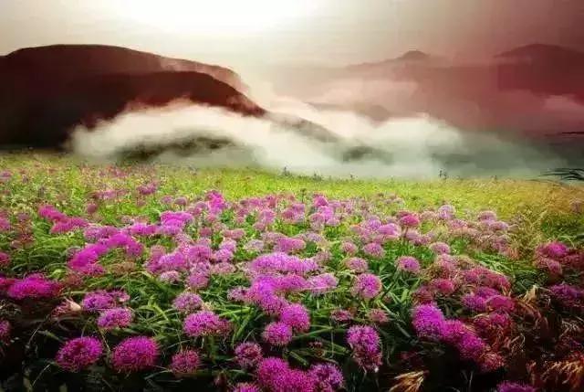 国内最撩人的20个金秋童话,国内最美的十大海滨城市