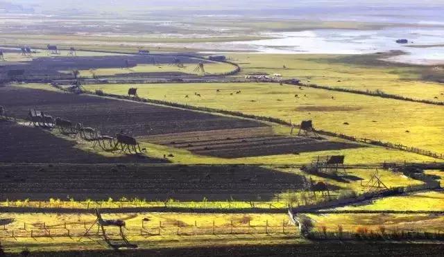 国内最撩人的20个金秋童话,国内最美的十大海滨城市