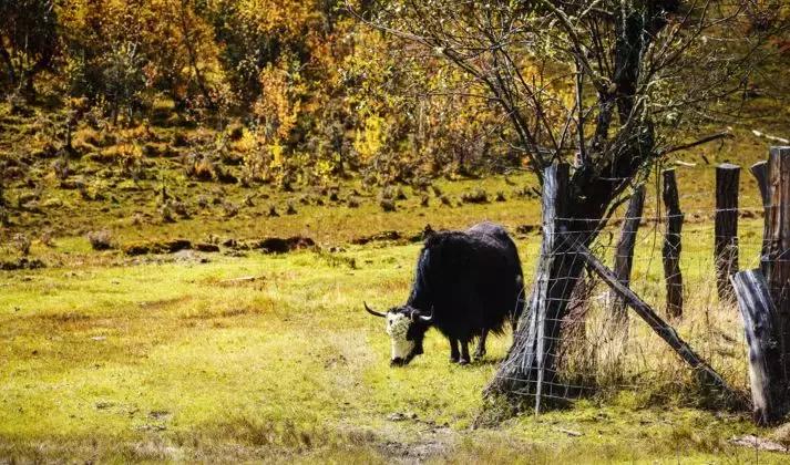 国内最撩人的20个金秋童话,国内最美的十大海滨城市
