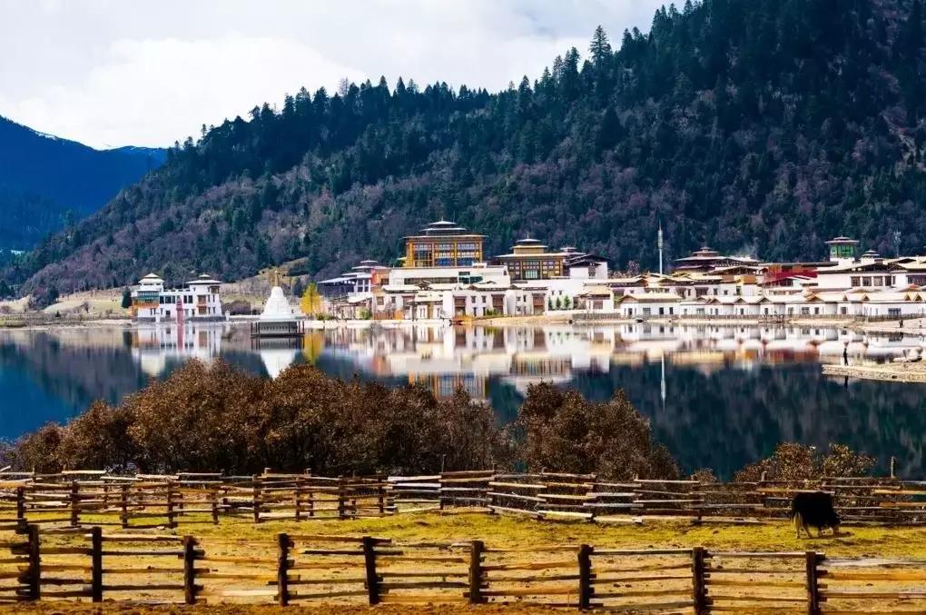 国内最撩人的20个金秋童话,国内最美的十大海滨城市