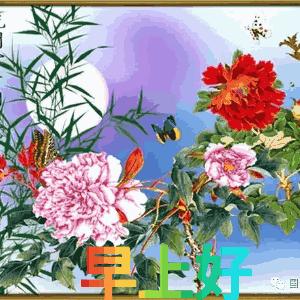 清晨第一缕阳光早安吉祥,清晨一声问候早安吉祥