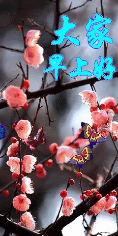 清晨第一缕阳光早安吉祥,清晨一声问候早安吉祥