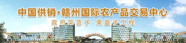 赣州市少年宫建设,乡村学校少年宫项目概况