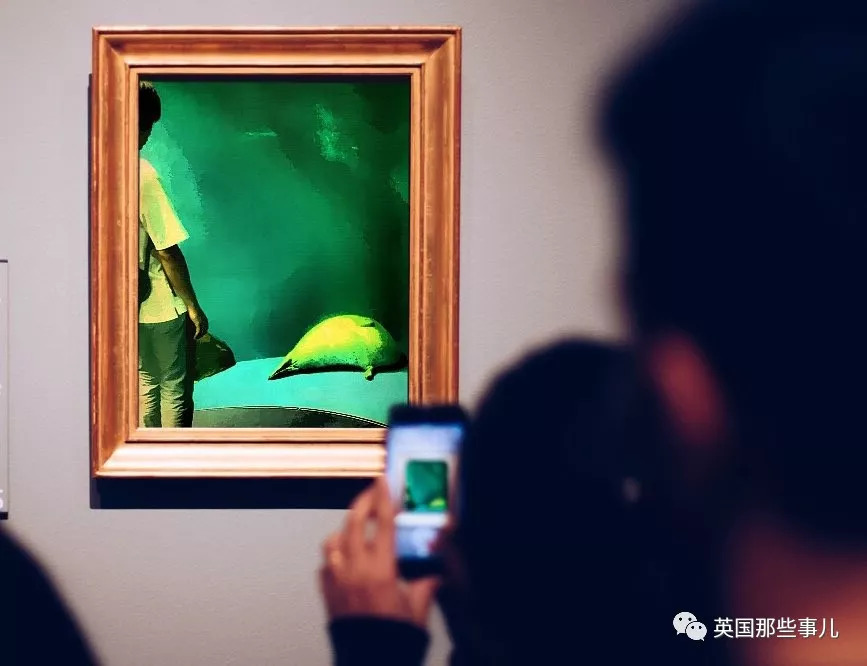 没有干劲的废柴海豹,只要心中有床,在哪里都可以豹睡个爽啊……