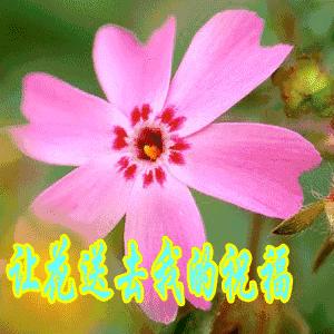 9.13,我把祝福送给你,幸福你每一秒,早晨好!