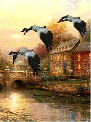 会动的图片一览表,会动的图片完整版