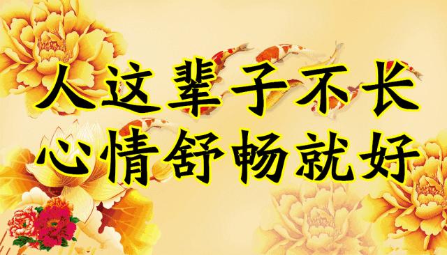 会动的图片一览表,会动的图片完整版