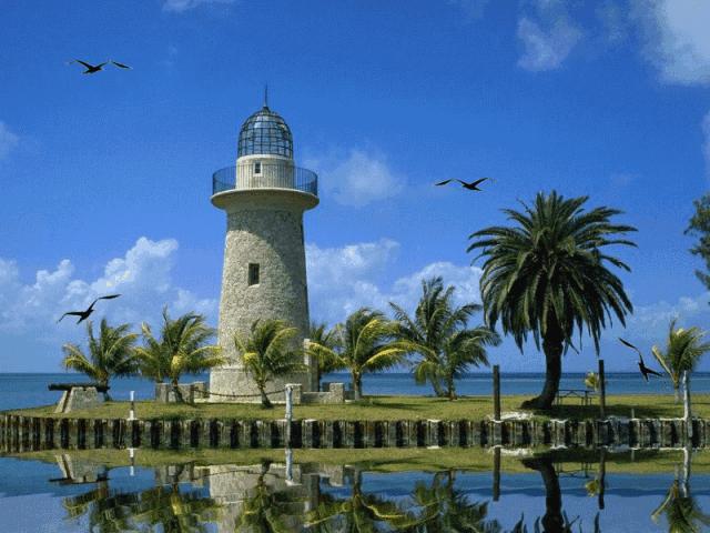 会动的图片一览表,会动的图片完整版