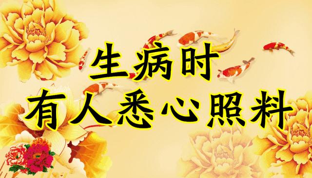 会动的图片一览表,会动的图片完整版