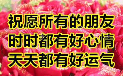 会动的图片一览表,会动的图片完整版