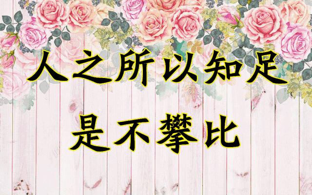 会动的11张图片,会动的花动态图片