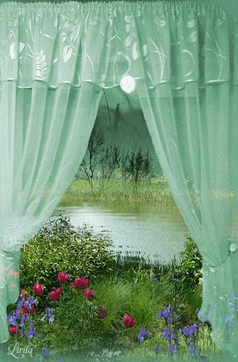 会动的11张图片,会动的花动态图片