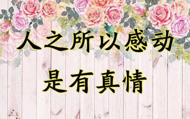 会动的11张图片,会动的花动态图片