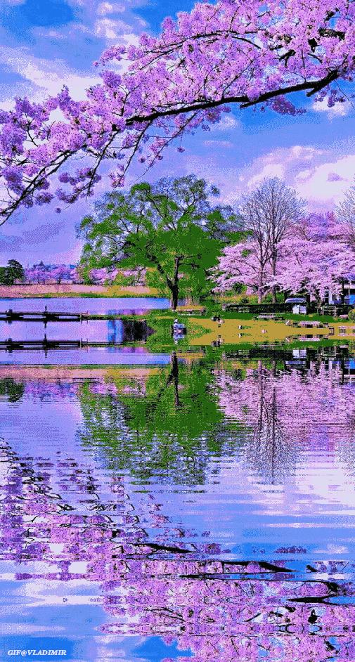 会动的11张图片,会动的花动态图片