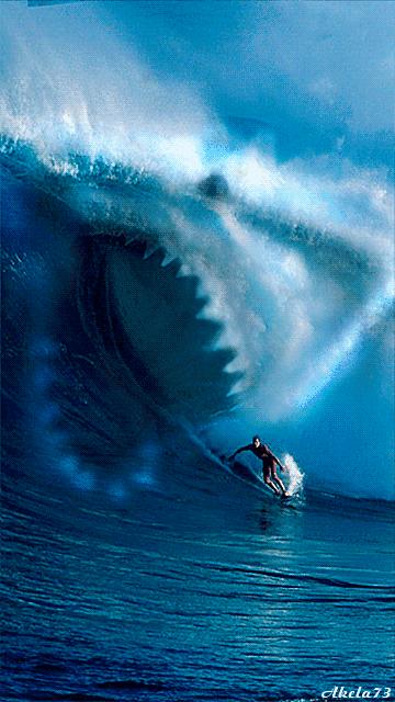 会动的11张图片,会动的花动态图片