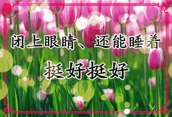 会动的11张图片,会动的花动态图片