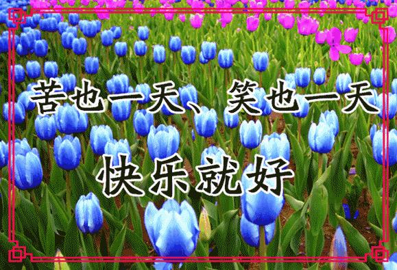 会动的11张图片,会动的花动态图片