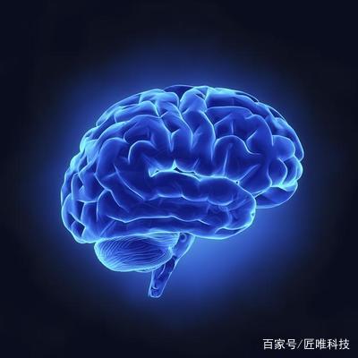 人类大脑开发到100会超过机器人吗,科学家发现人类智商在迅速提高