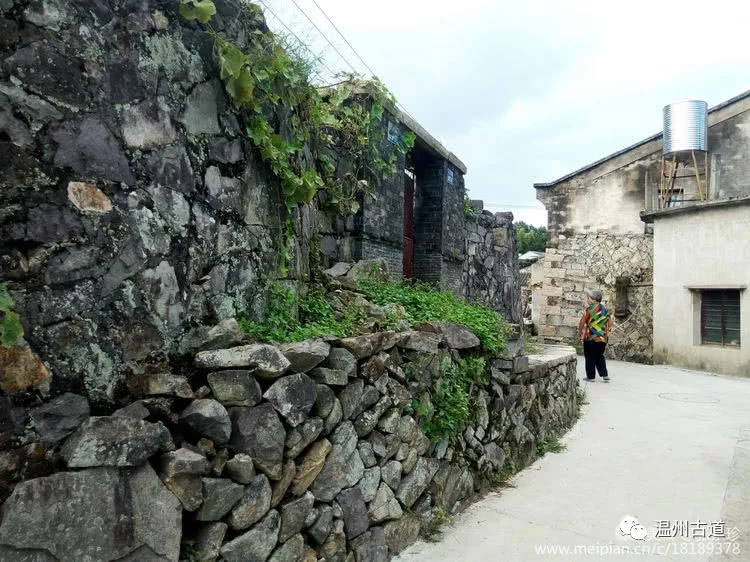 八百载风雨——大茶山