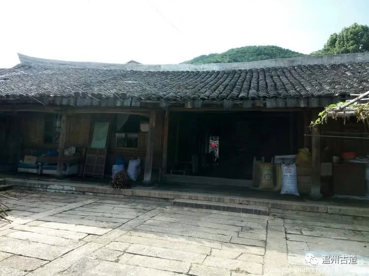 八百载风雨——大茶山