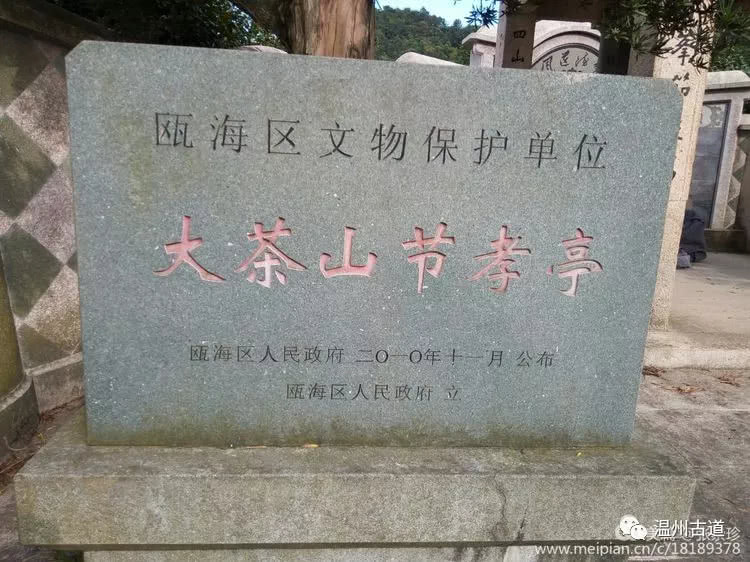 八百载风雨——大茶山