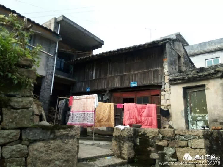 八百载风雨——大茶山