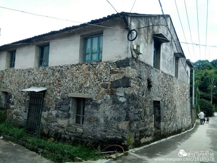 八百载风雨——大茶山