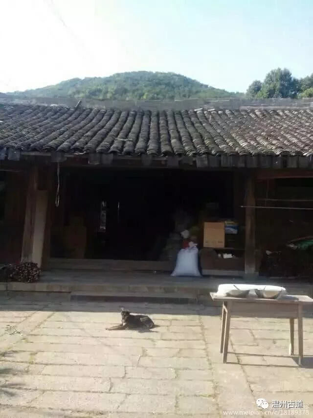 八百载风雨——大茶山