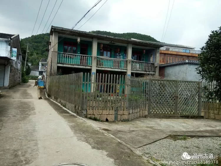 八百载风雨——大茶山