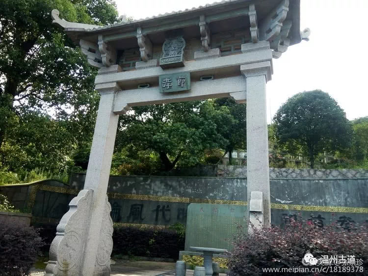 八百载风雨——大茶山