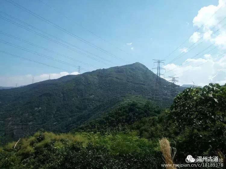 八百载风雨——大茶山